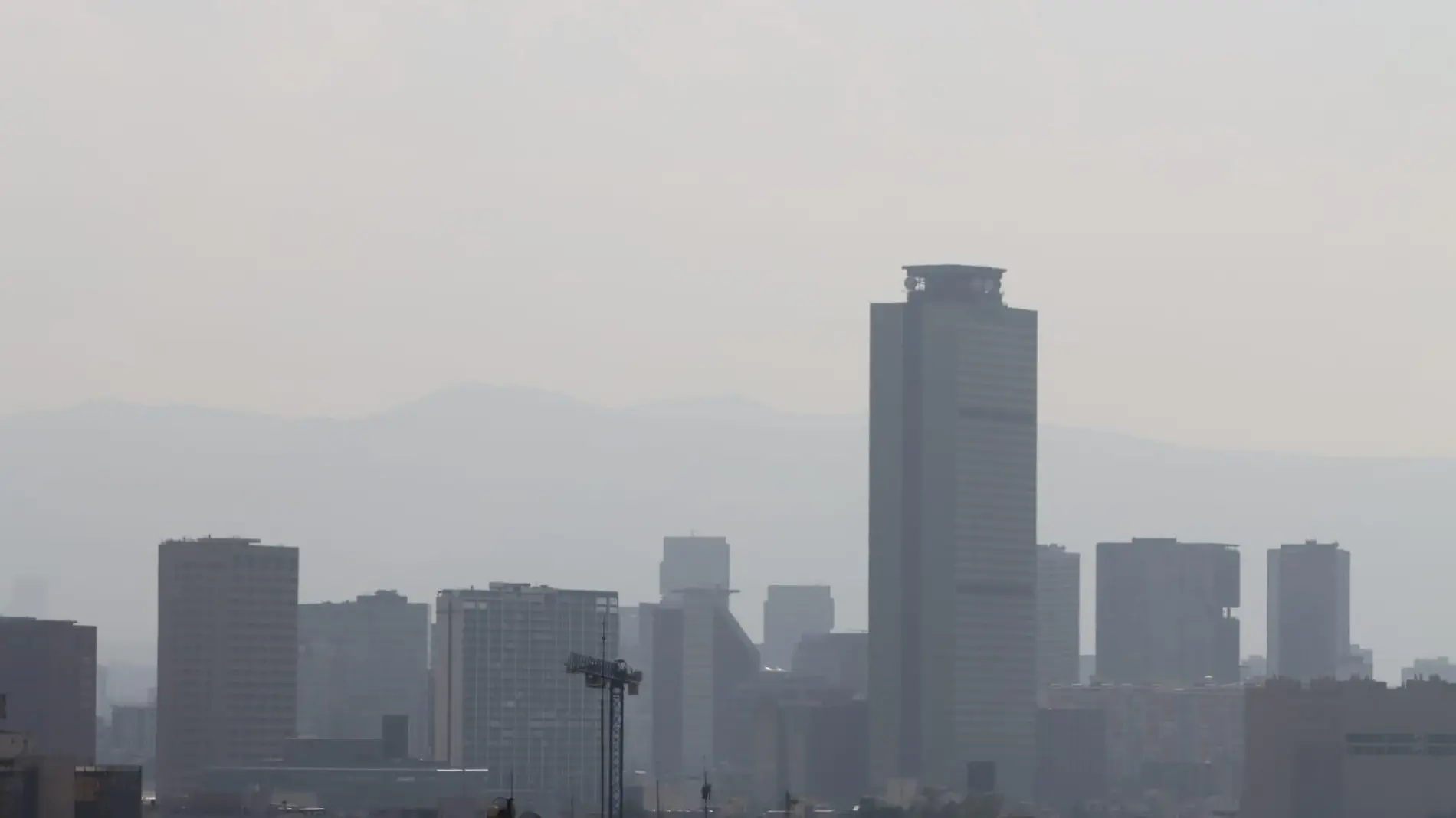 Viernes de Contingencia Ambiental, ¿Qué autos no circulan por el Doble Hoy no Circula?